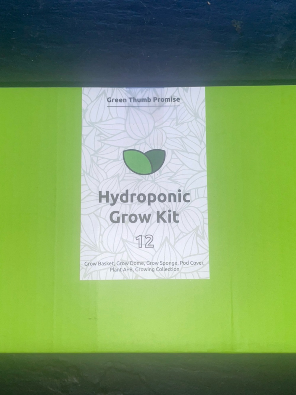 Hydroponic Grow Kit - asst fruit and vegetable collection-12